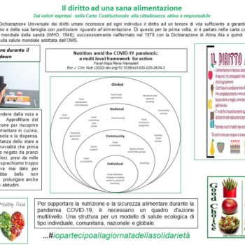 Il diritto ad una sana alimentazione – IBBA